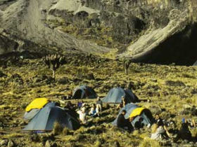 Shira route trek up Kilimanjaro