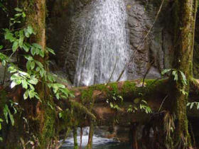 Khao Sok tour, three days, Thailand