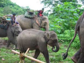 Khao Sok tour, three days, Thailand