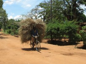 Tanzania trekking vacation