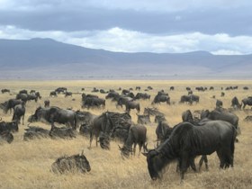 Tanzania trekking vacation