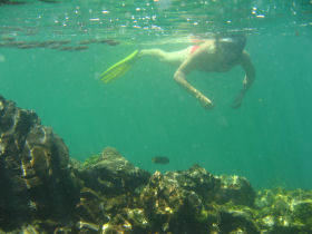 Galapagos conservation volunteering vacation