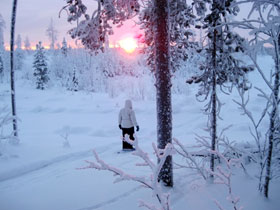 Swedish Lapland winter activity vacation & Northern Lights