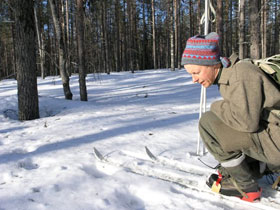 Swedish Lapland winter activity vacation & Northern Lights