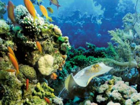Maldives vacations, Dhoni cruise