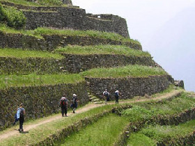 Inca Discovery
