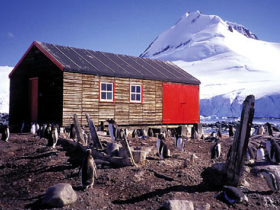 Antarctica vacation, spirit of Shackleton