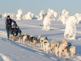 Finnish Lapland activity vacation