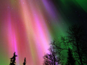 Finnish Lapland activity vacation