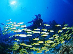 Cuba tours