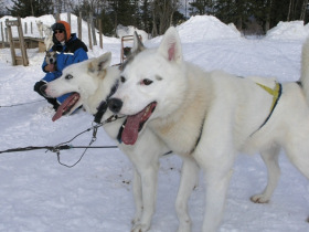 Vacation in Lapland, tailor made vacation in Sweden