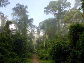 Sarawak and Brunei holiday in Malaysia