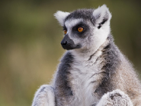 Madagascar rafting expedition