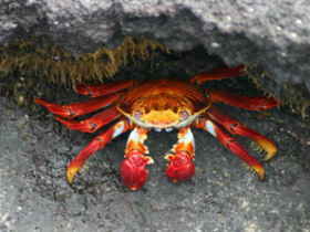 Galapagos adventure vacation