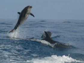 Galapagos adventure vacation