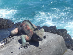 Galapagos adventure vacation