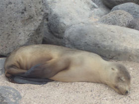Galapagos adventure vacation