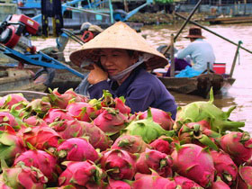 Indochina overland tour, Saigon to Bangkok