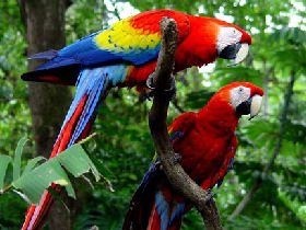 Costa Rica family activity vacation