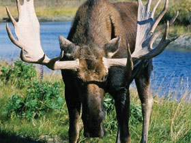 Canadian Rockies activity vacation
