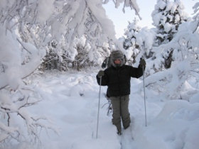 Cross country skiing in Lapland, Sweden