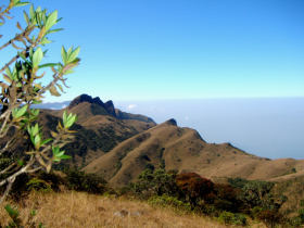 Southern India tour, temples & nature