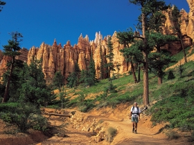 Small group camping vacation in America