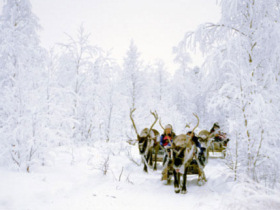 Winter holiday in Finnish Lapland