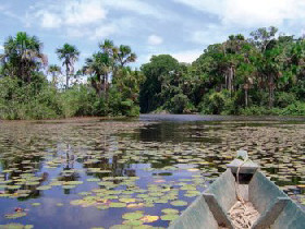Inca Trail & Amazon vacation