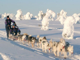 Northern Lights winter holiday, Lapland