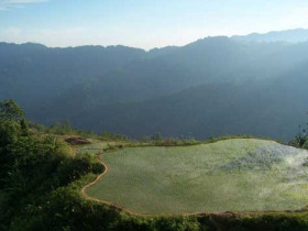 Gap year expedition in Borneo