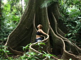 Queensland wildlife and adventure tours, Australia