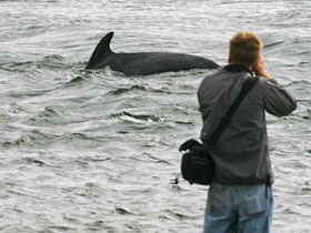 Family vacations in Scotland, nature & wildlife