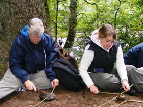 Family vacations in Scotland, nature & wildlife