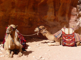 Tailor made vacations to Jordan