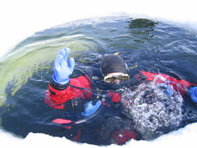 Winter activity vacation in the French Alps