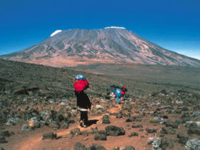 Kilimanjaro Shira Route climb