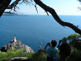 Elaphite Islands & Dubrovnik walking tours in Croatia