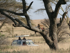 Tanzania luxury camping safari