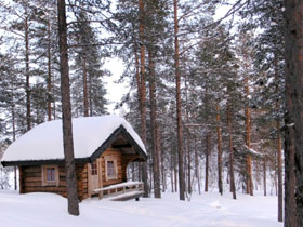 Swedish Lapland winter activity vacation & Northern Lights