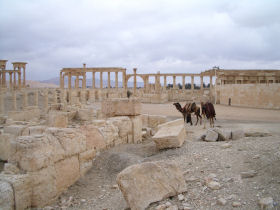 Syria vacations, tailormade