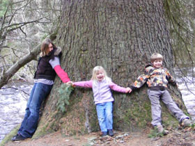 Family vacations in Scotland, nature & wildlife