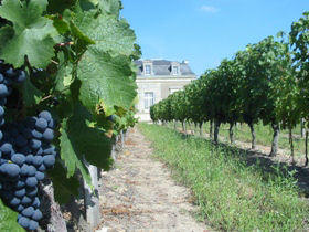 Wine tasting vacation in the Loire Valley