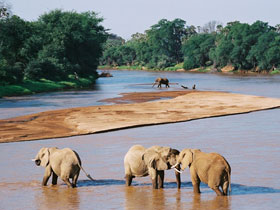 Kenya vacation, safari and cultural tour