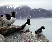 Svalbard