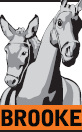Happy Horse Code, © The Brooke