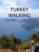 Turkey walking