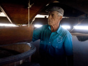 Grinding gofio at the Museo de Interpretación de Los Molinos Tiscamanita Tefia. Photo by Nick Haslam