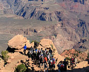 Grand Canyon (G)rim trail