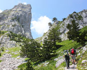 Walking holidays